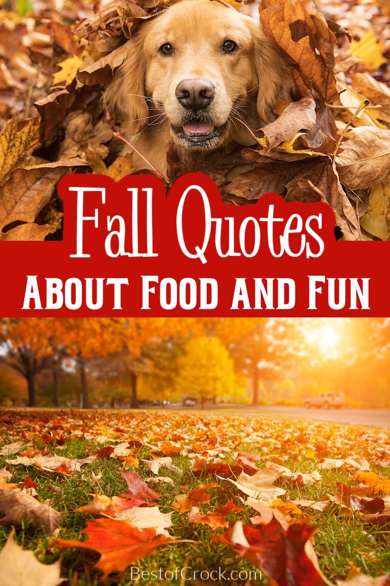 Funny fall food quotes pair nicely with delicious comfort food recipes for fall; the combination of laughter, comfort, and food is a winning one. Funny Fall Memes | Memes for Fall | Fall Memes for Social Media | Food Puns for Fall | Funny Food Puns | Funny Pumpkin Memes | Quotes for Fall | Funny Fall Quotes