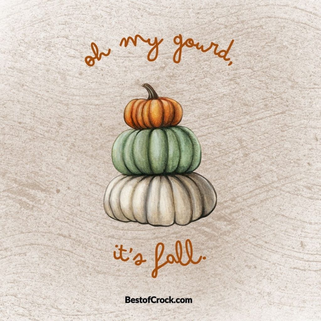 Fall Food Quotes Oh my gourd, it’s fall.
