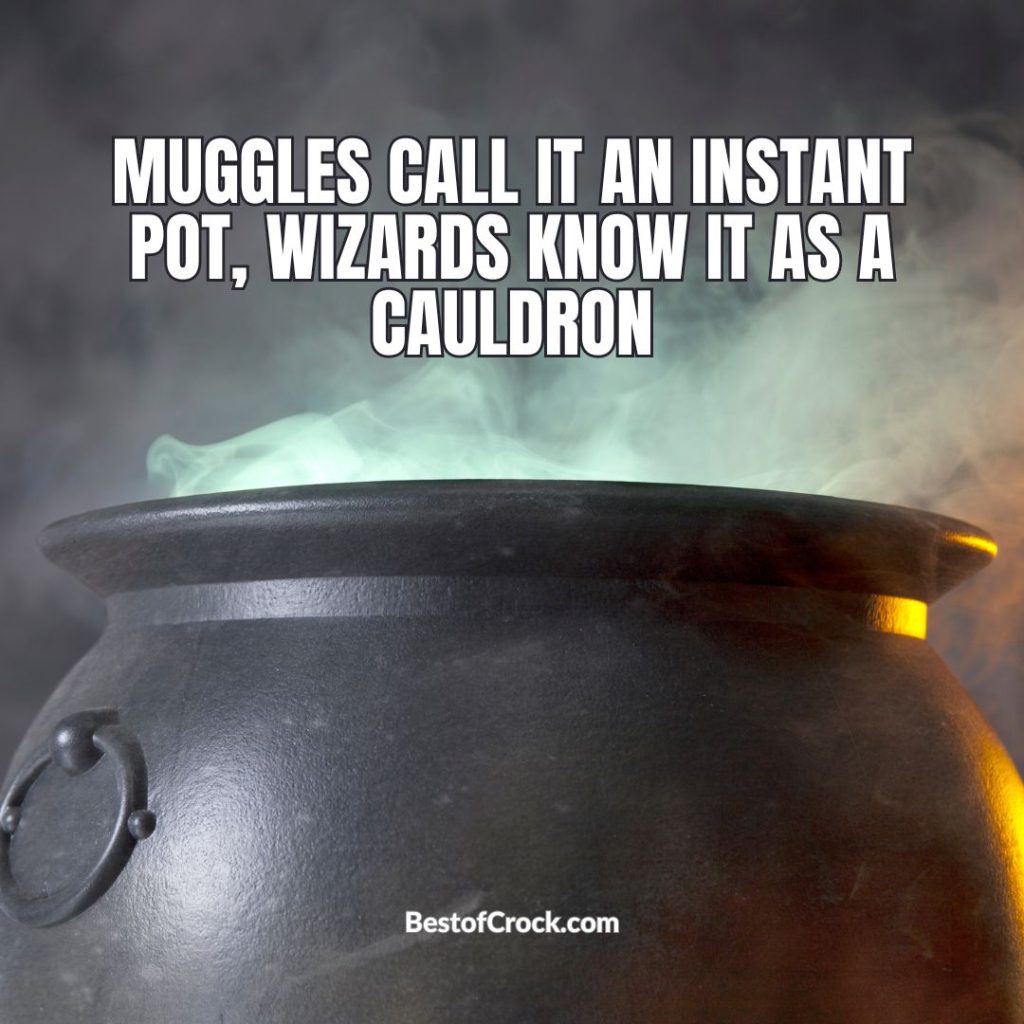 Pressure Cooker Memes Muggles call it an Instant Pot, wizards know it as a cauldron.