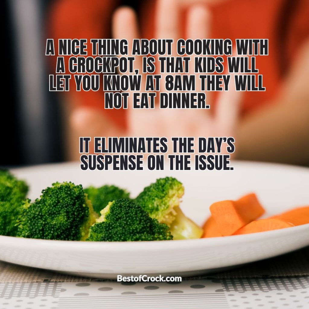 Funny Slow Cooker Memes A nice thing about cooking with a crockpot is that kids will let you know at 8 AM they will not eat dinner. It eliminates the day’s suspense on the issue.