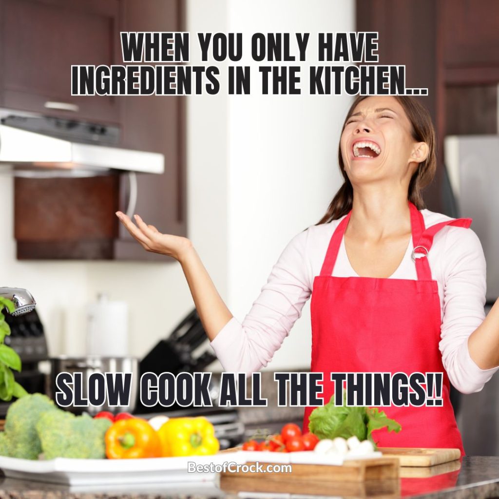 Funny Slow Cooker Memes When you only have ingredients in the kitchen…Slow cook all the things.