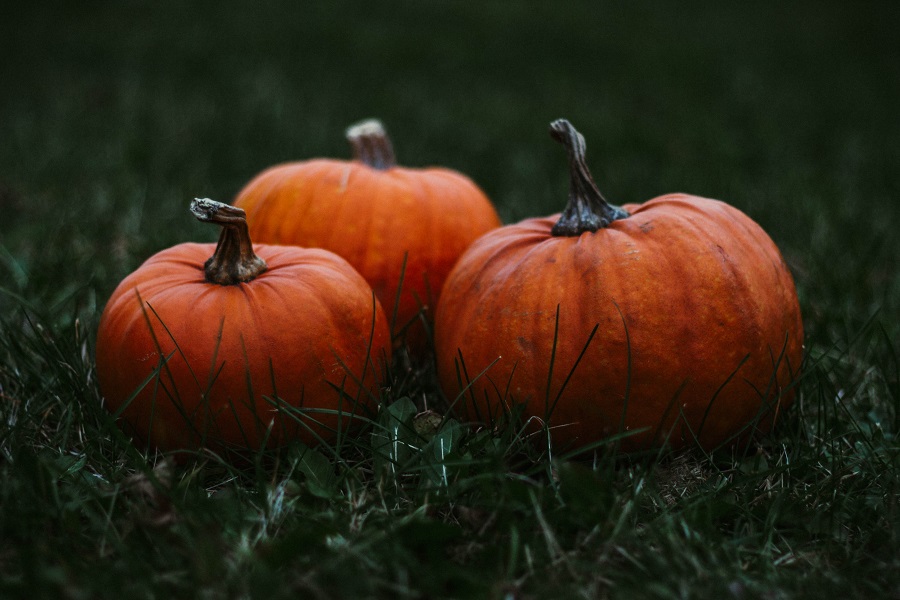 Instant Pot Pumpkin Recipes Close Up of Three Pumpkins Sitting on Grass