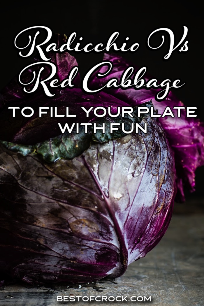 Knowing the differences between radicchio vs red cabbage can help you when shopping and preparing home-cooked meals with leafy vegetables. What is Radicchio | What is Red Cabbage | How to Store Red Cabbage | How to Store Radicchio | Tips for Radicchio | Tips for Red Cabbage | Health Benefits of Radicchio | Health Benefits of Red Cabbage