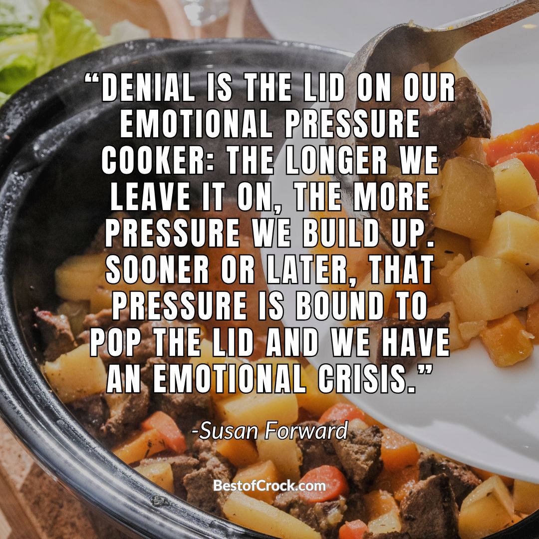 Actual Pressure Cooker Quotes “Denial is the lid on our emotional pressure cooker: the longer we leave it on, the more pressure we build up. Sooner or later, that pressure is bound to pop the lid, and we have an emotional crisis.” -Susan Forward