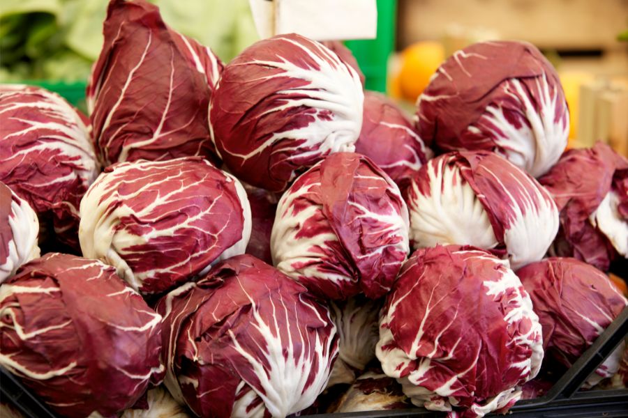 Radicchio vs Red Cabbage a Bunch of Radicchio on a Counter Top