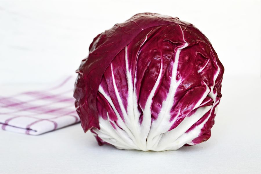 Radicchio vs Red Cabbage – Cooking and Health Tips to Know