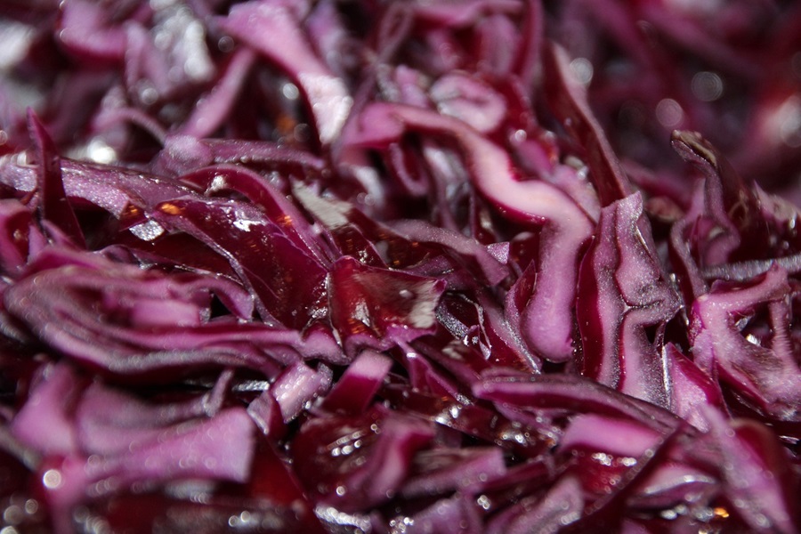 Radicchio vs Red Cabbage Close Up of Pickled Cabbage
