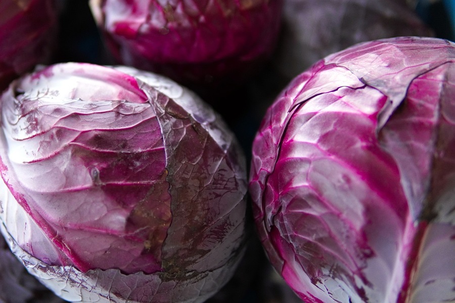 Radicchio vs Red Cabbage Close Up of Three Heads of Red Cabbage