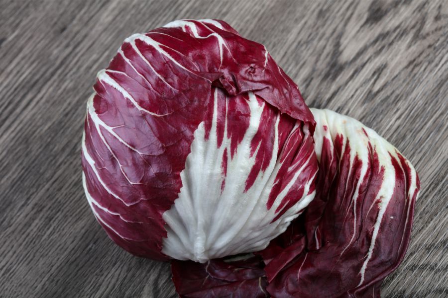 Radicchio vs Red Cabbage Close Up of Two Heads of Radicchio