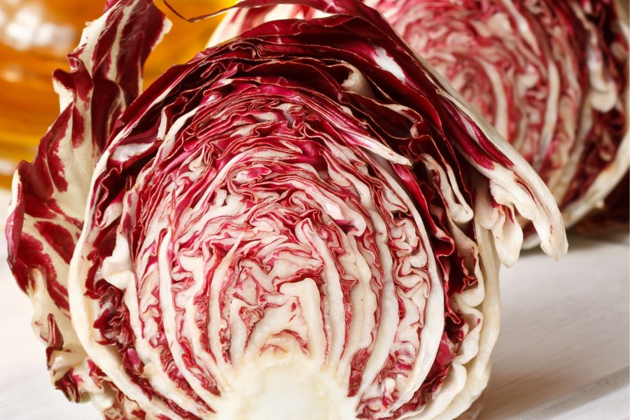 Radicchio vs Red Cabbage Close Up of a Radicchio Cut in Half