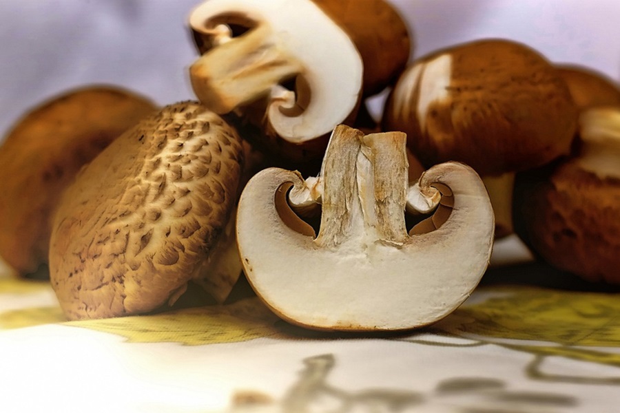 Mushroom Caps vs Stems Cooking Tips Close Up of Diced Mushrooms