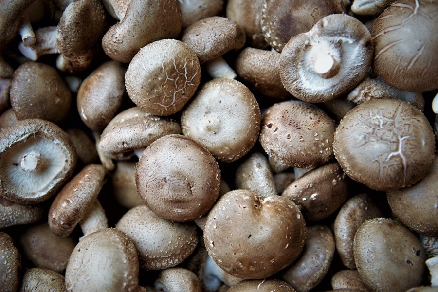 Mushroom Caps vs Stems Cooking Tips Close Up of White Mushrooms