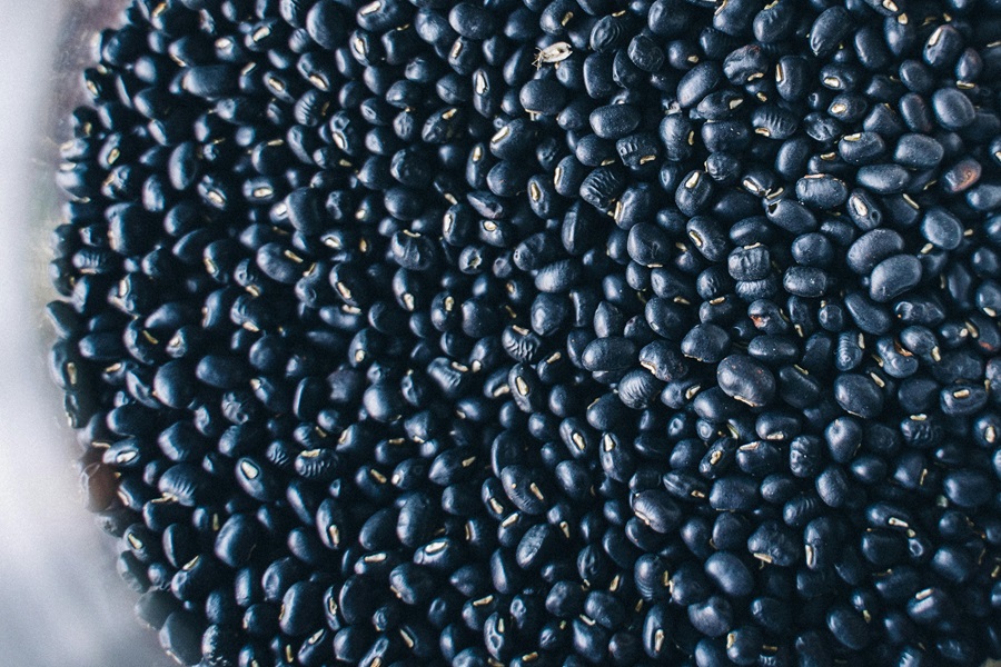 Instant Pot Bean Soup Recipes Close Up of Black Beans