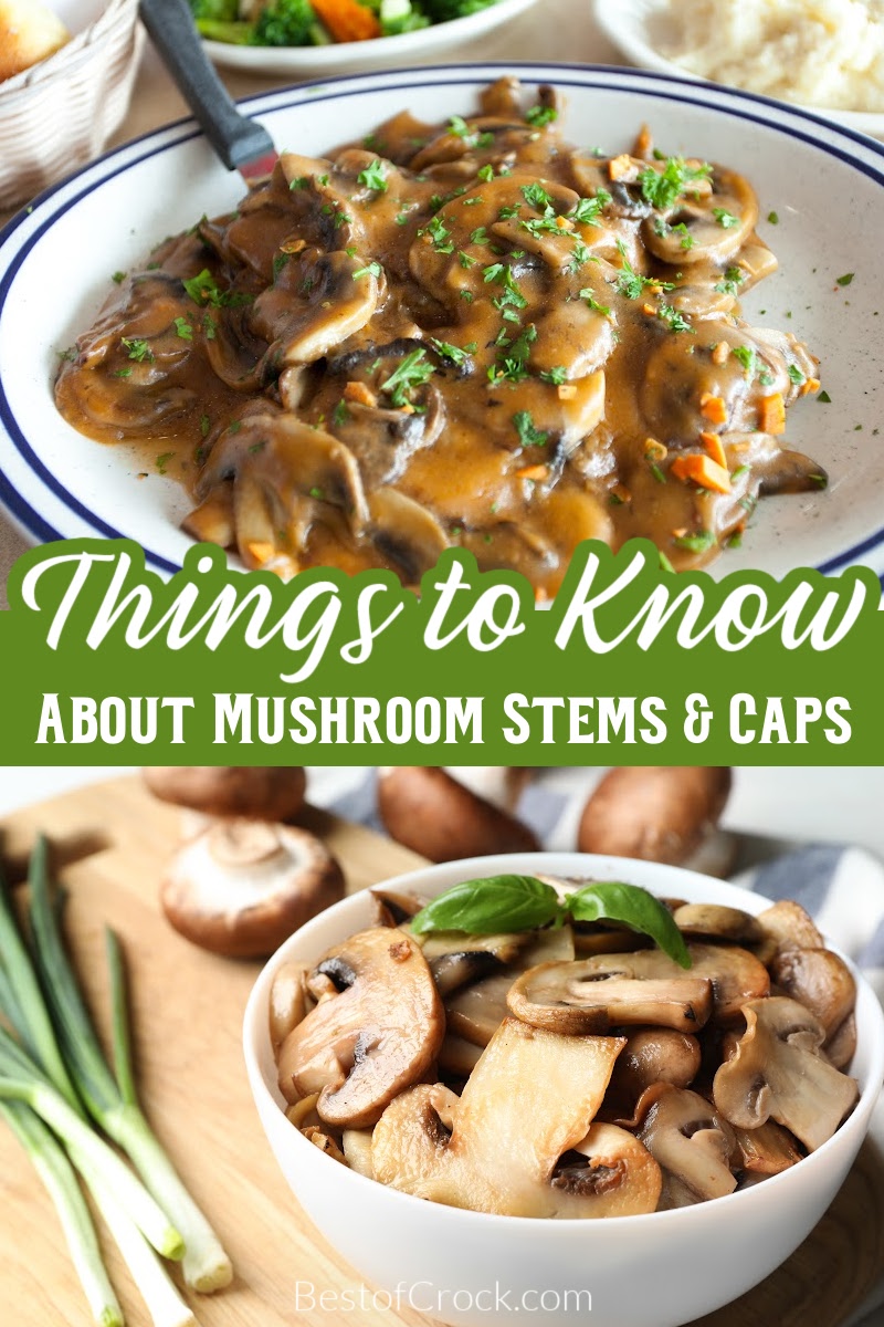 Knowing these mushroom caps vs stems cooking tips can help you add flavor to delicious recipes and enjoy more parts of a unique ingredient in global cuisine. Tips for Growing Mushrooms | Tips for Cooking Mushrooms | Tips for Foraging for Mushrooms | Cooking Tips for Mushroom Stems | How to Cook Mushrooms | Recipes with Mushrooms | Crockpot Recipes with Mushrooms | How to Spot Edible Mushrooms via @bestofcrock