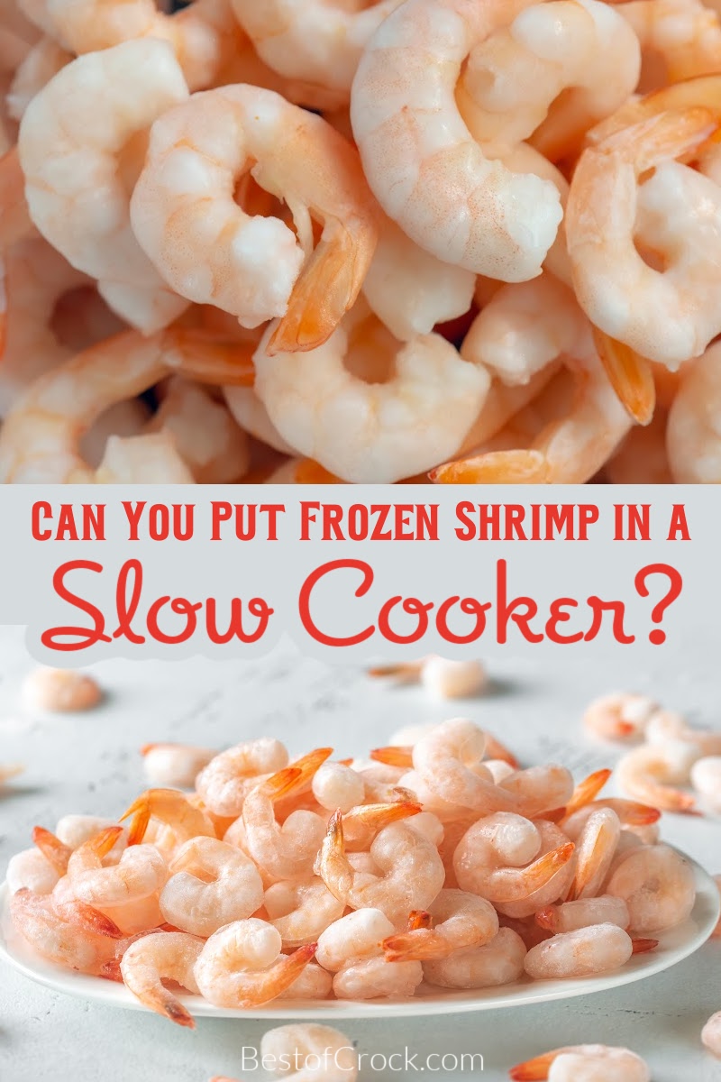 Can you put frozen shrimp in a slow cooker? Crockpot shrimp recipes may call for fresh shrimp, but frozen shrimp recipes tell us otherwise. Crockpot Seafood Tips | Tips for Cooking Seafood in a Slow Cooker | Frozen Seafood Crockpot | Slow Cooker Dinner Recipes | Slow Cooker Shrimp Recipes | Slow Cooker Dinner Recipes | Easy Dinner Recipes | Healthy Slow Cooker Recipes | Weeknight Dinner Recipes