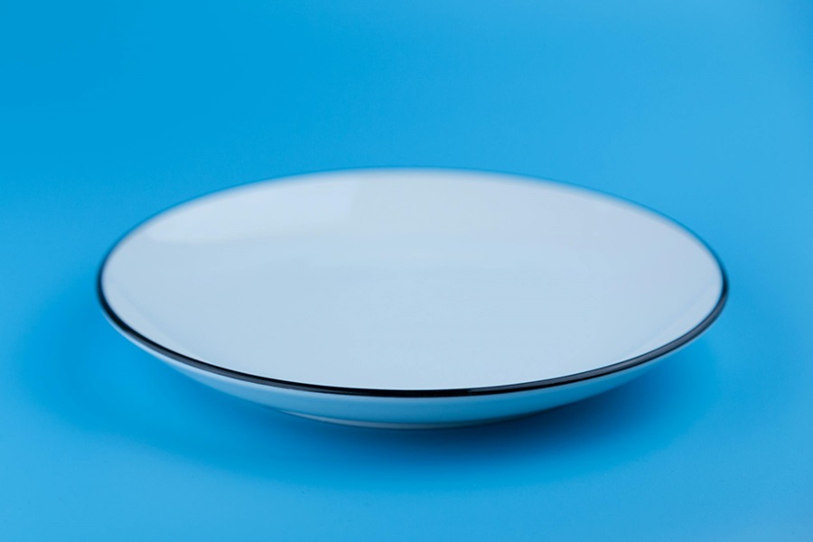 Can You Put a Plate in an Air Fryer a Single Plate on a Blue Background