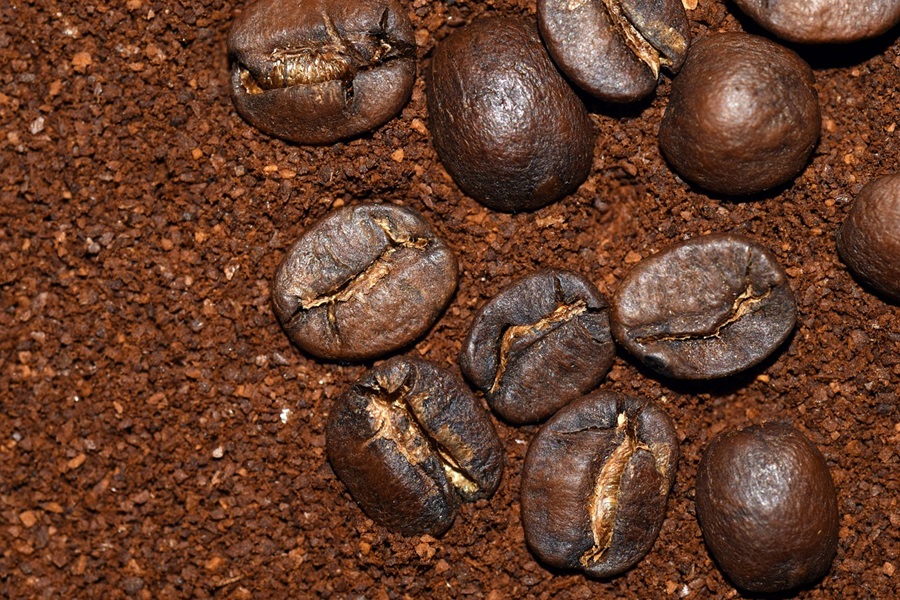 What Dissolves Coffee Grounds a Bed of Coffee Grounds with Coffee Beans On Top