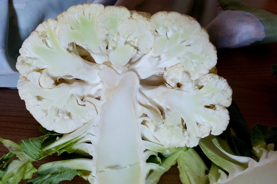 Instant Pot Cauliflower Recipes Close Up of a Head of Cabbage Cut in Half