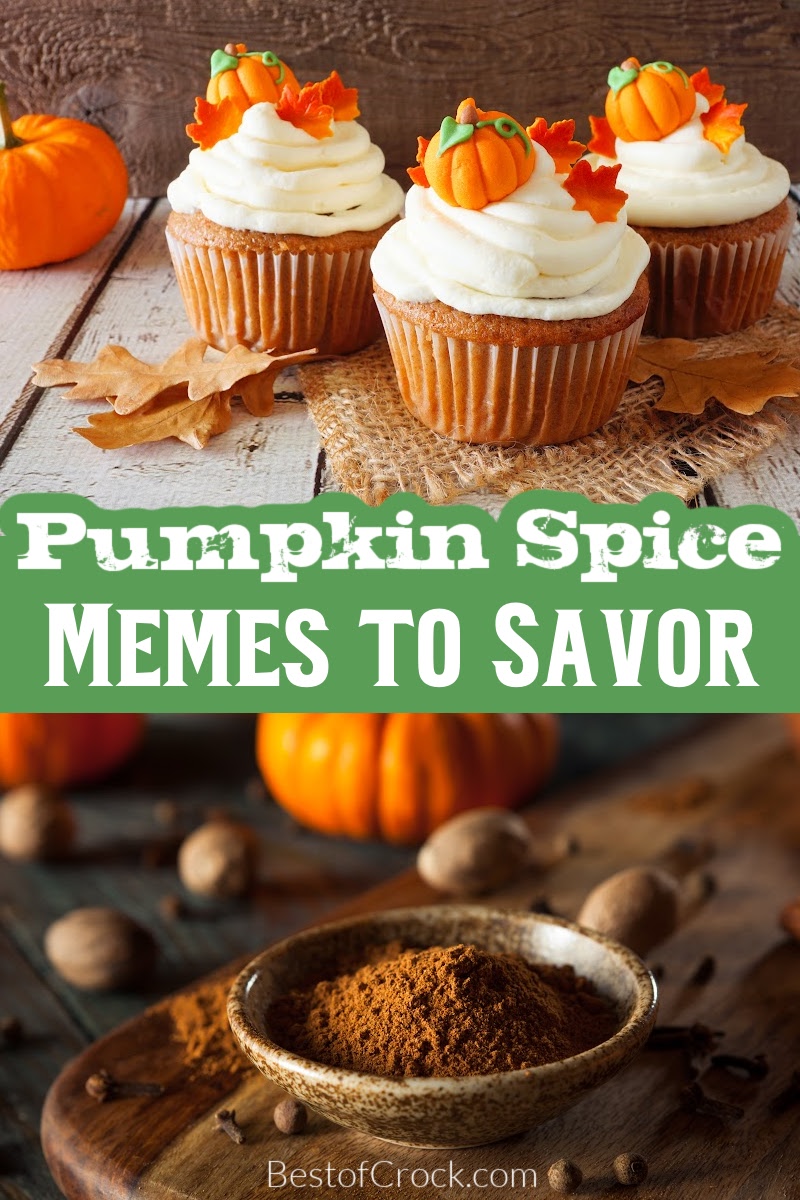 Funny pumpkin spice memes are spicy, delicious, and as basic as they get, with some humor that fits in well with those pumpkin spice latte recipes. Pumpkin Spice Quotes | Funny Starbucks Memes | Funny Coffee Memes | Quotes About Coffee | Quotes About Starbucks | Funny Memes for Fall | Funny Fall Memes via @bestofcrock