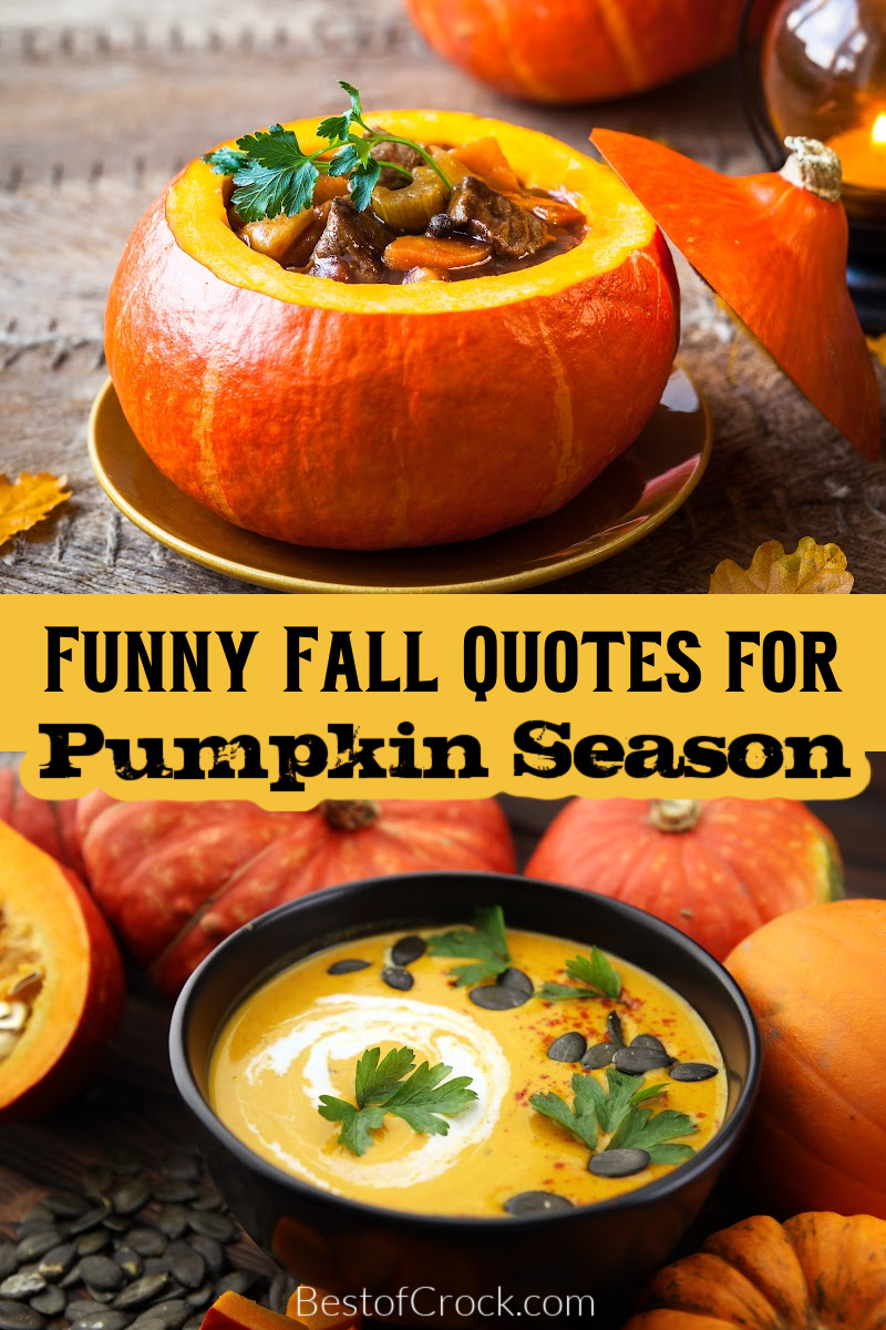 Funny fall food quotes pair nicely with delicious comfort food recipes for fall; the combination of laughter, comfort, and food is a winning one. Funny Fall Memes | Memes for Fall | Fall Memes for Social Media | Food Puns for Fall | Funny Food Puns | Funny Pumpkin Memes | Quotes for Fall | Funny Fall Quotes via @bestofcrock