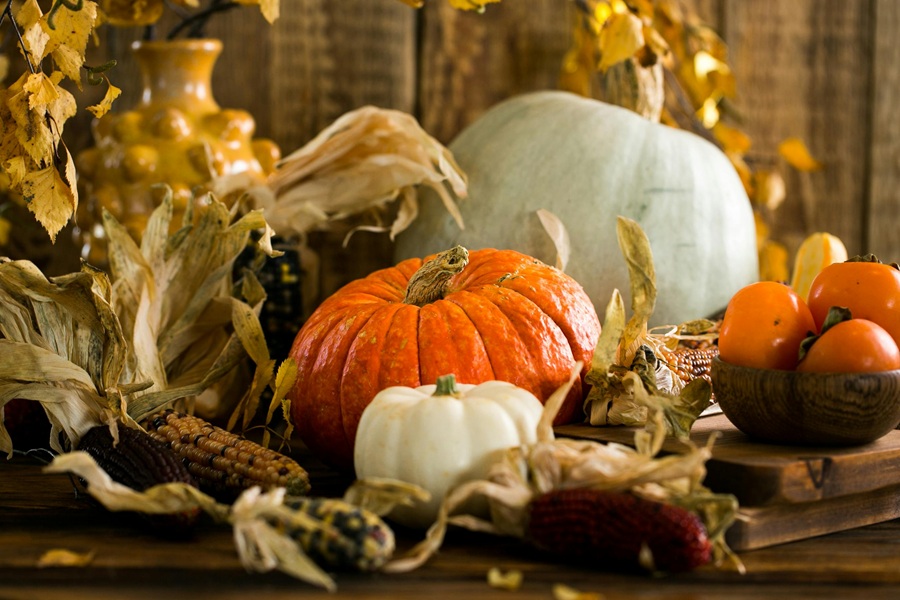 Vegan Thanksgiving Appetizers a Harvest Scene with Pumpkins, Corn Husks, and Wood