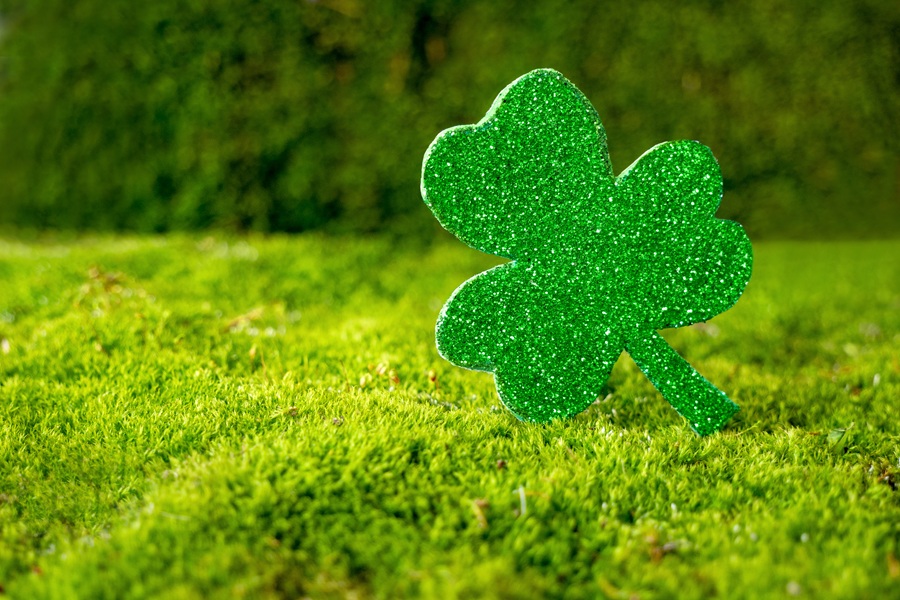 St Patricks Day Cupcake Recipes a Glittery Shamrock on Grass