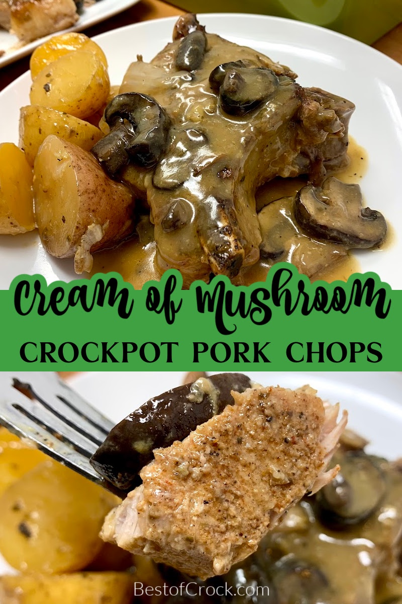 This crockpot pork chops with cream of mushroom soup recipe is an easy dinner that is so tasty you’ll add it to your meal planning rotation. Easy Pork Chop Recipe | Slow Cooker Pork Chops | Delicious Pork Chop Recipe | Mushroom Soup Pork Chops | Creamy Mushroom Pork Chops | Comfort Food Pork Chops | Healthy Dinner Ideas | Time-Saving Recipes | Budget-Friendly Meals | Family-Friendly Recipes | Dinner Ideas for Busy Weeknights