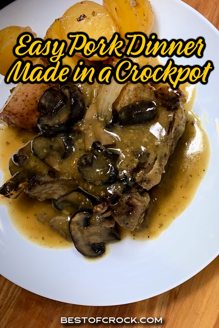This crockpot pork chops with cream of mushroom soup recipe is an easy dinner that is so tasty you’ll add it to your meal planning rotation. Easy Pork Chop Recipe | Slow Cooker Pork Chops | Delicious Pork Chop Recipe | Mushroom Soup Pork Chops | Creamy Mushroom Pork Chops | Comfort Food Pork Chops | Healthy Dinner Ideas | Time-Saving Recipes | Budget-Friendly Meals | Family-Friendly Recipes | Dinner Ideas for Busy Weeknights