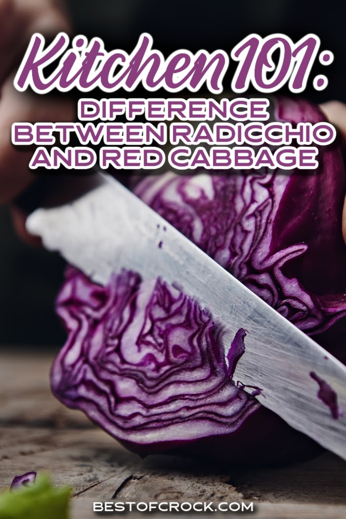 Knowing the differences between radicchio vs red cabbage can help you when shopping and preparing home-cooked meals with leafy vegetables. What is Radicchio | What is Red Cabbage | How to Store Red Cabbage | How to Store Radicchio | Tips for Radicchio | Tips for Red Cabbage | Health Benefits of Radicchio | Health Benefits of Red Cabbage