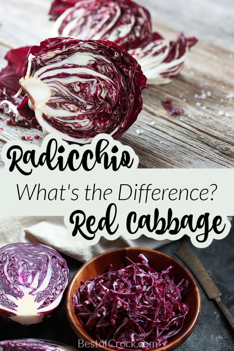 Knowing the differences between radicchio vs red cabbage can help you when shopping and preparing home-cooked meals with leafy vegetables. What is Radicchio | What is Red Cabbage | How to Store Red Cabbage | How to Store Radicchio | Tips for Radicchio | Tips for Red Cabbage | Health Benefits of Radicchio | Health Benefits of Red Cabbage via @bestofcrock