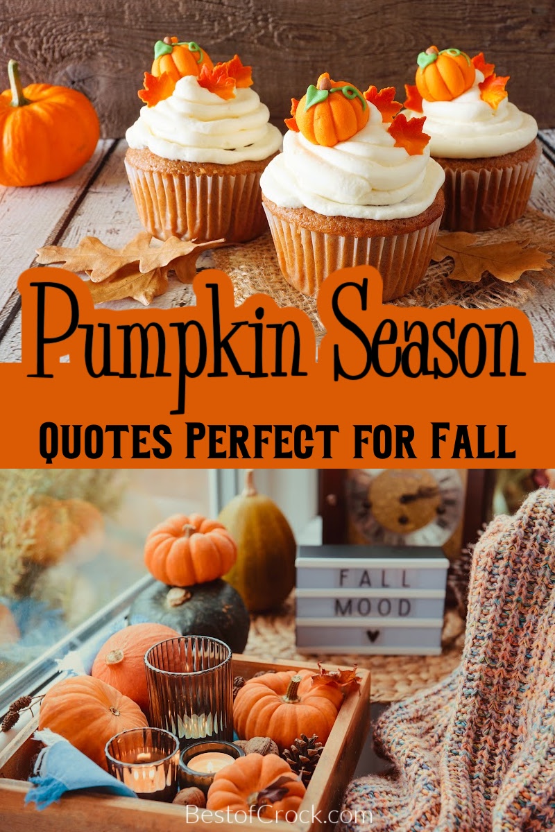 Funny fall food quotes pair nicely with delicious comfort food recipes for fall; the combination of laughter, comfort, and food is a winning one. Funny Fall Memes | Memes for Fall | Fall Memes for Social Media | Food Puns for Fall | Funny Food Puns | Funny Pumpkin Memes | Quotes for Fall | Funny Fall Quotes via @bestofcrock