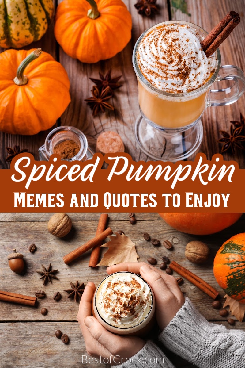 Funny pumpkin spice memes are spicy, delicious, and as basic as they get, with some humor that fits in well with those pumpkin spice latte recipes. Pumpkin Spice Quotes | Funny Starbucks Memes | Funny Coffee Memes | Quotes About Coffee | Quotes About Starbucks | Funny Memes for Fall | Funny Fall Memes via @bestofcrock